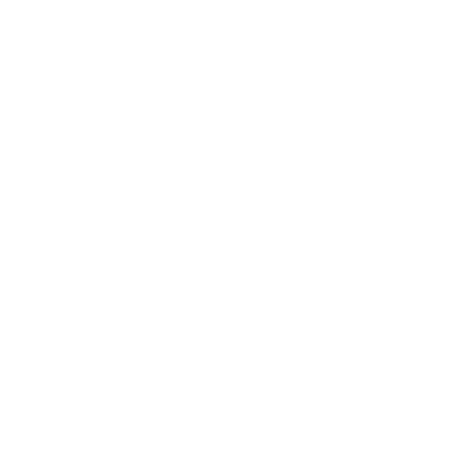 Schritt 3: Beladung und Transport